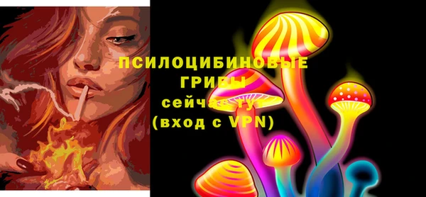 MDMA Белокуриха
