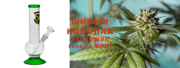 МДПВ Богородск