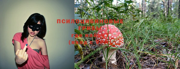 MDMA Белокуриха