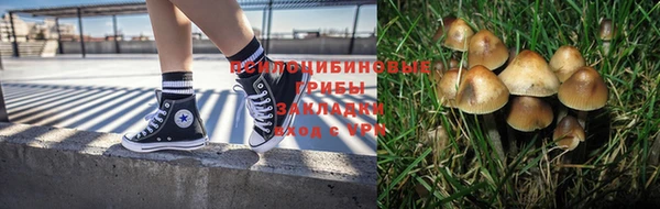 спайс Беломорск
